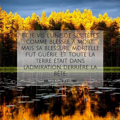Picture 07 - Apocalypse 13:3 LSG - Et je vis l'une de ses têtes comme blessée à - Bible Verse Picture