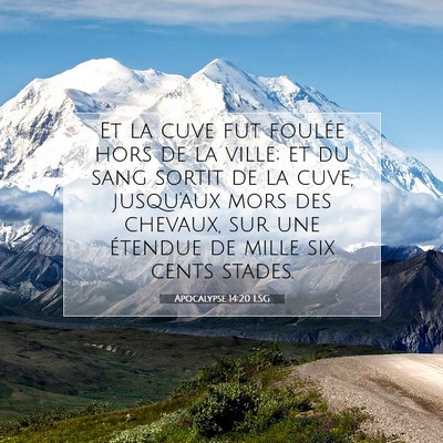 Picture 07 - Apocalypse 14:20 LSG - Et la cuve fut foulée hors de la ville; et du - Bible Verse Picture