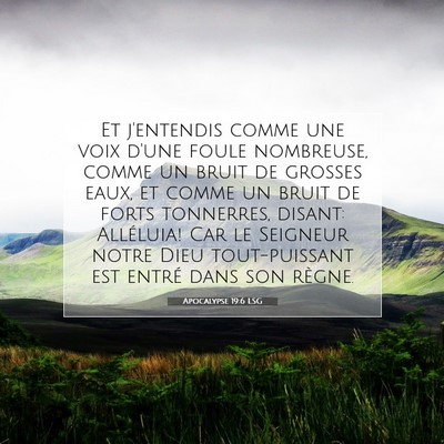 Picture 07 - Apocalypse 19:6 LSG - Et j'entendis comme une voix d'une foule - Bible Verse Picture