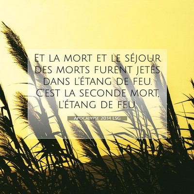 Picture 07 - Apocalypse 20:14 LSG - Et la mort et le séjour des morts furent jetés - Bible Verse Picture