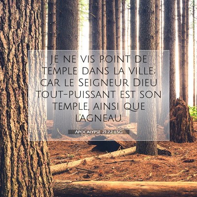 Picture 07 - Apocalypse 21:22 LSG - Je ne vis point de temple dans la ville; car le - Bible Verse Picture
