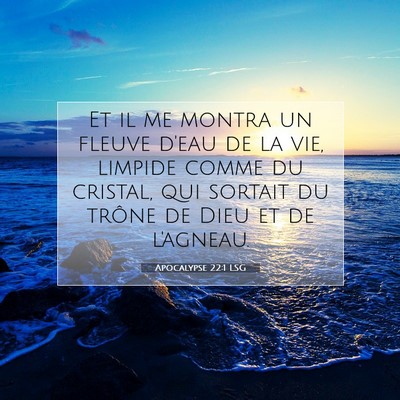 Picture 07 - Apocalypse 22:1 LSG - Et il me montra un fleuve d'eau de la vie, - Bible Verse Picture
