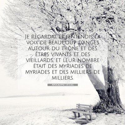 Picture 07 - Apocalypse 5:11 LSG - Je regardai, et j'entendis la voix de beaucoup - Bible Verse Picture