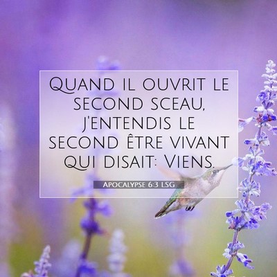 Picture 07 - Apocalypse 6:3 LSG - Quand il ouvrit le second sceau, j'entendis le - Bible Verse Picture