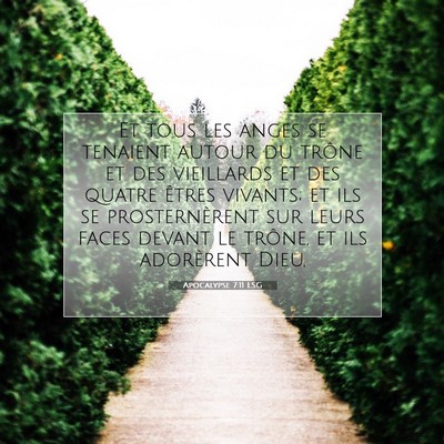Picture 07 - Apocalypse 7:11 LSG - Et tous les anges se tenaient autour du trône et - Bible Verse Picture
