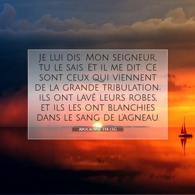 Picture 07 - Apocalypse 7:14 LSG - Je lui dis: Mon seigneur, tu le sais. Et il me - Bible Verse Picture