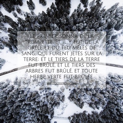 Picture 07 - Apocalypse 8:7 LSG - Le premier sonna de la trompette. Et il y eut de - Bible Verse Picture