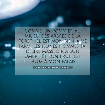 Picture 07 - Cantique des Cantiques 2:3 LSG - Comme un pommier au milieu des arbres de la - Bible Verse Picture