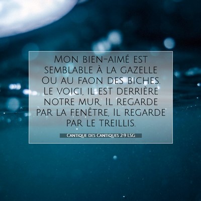 Picture 07 - Cantique des Cantiques 2:9 LSG - Mon bien-aimé est semblable à la gazelle Ou au - Bible Verse Picture