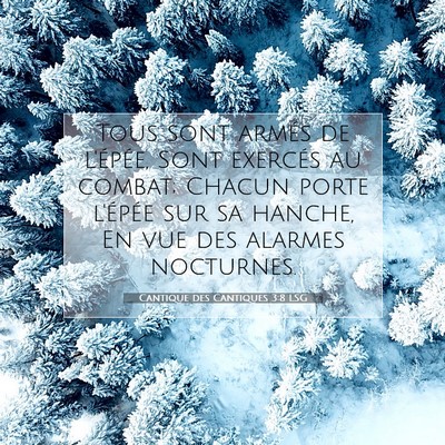 Picture 07 - Cantique des Cantiques 3:8 LSG - Tous sont armés de l'épée, Sont exercés au - Bible Verse Picture