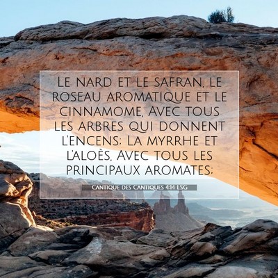 Picture 07 - Cantique des Cantiques 4:14 LSG - Le nard et le safran, le roseau aromatique et le - Bible Verse Picture