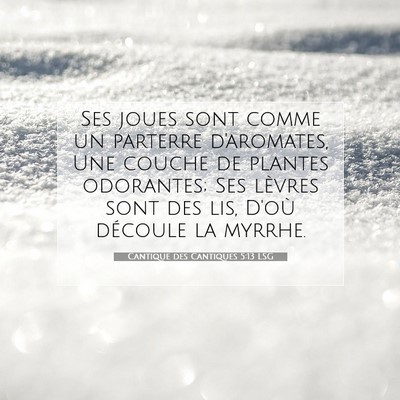 Picture 07 - Cantique des Cantiques 5:13 LSG - Ses joues sont comme un parterre d'aromates, Une - Bible Verse Picture