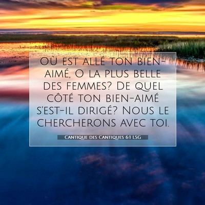 Picture 07 - Cantique des Cantiques 6:1 LSG - Où est allé ton bien-aimé, O la plus belle des - Bible Verse Picture