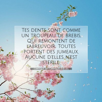 Picture 07 - Cantique des Cantiques 6:6 LSG - Tes dents sont comme un troupeau de brebis, Qui - Bible Verse Picture