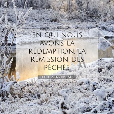 Picture 07 - Colossiens 1:14 LSG - en qui nous avons la rédemption, la rémission - Bible Verse Picture
