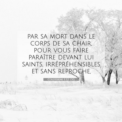 Picture 07 - Colossiens 1:22 LSG - par sa mort dans le corps de sa chair, pour vous - Bible Verse Picture