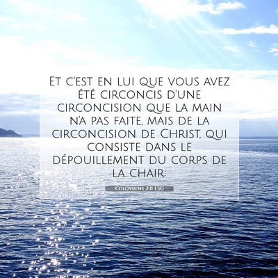 Picture 07 - Colossiens 2:11 LSG - Et c'est en lui que vous avez été circoncis - Bible Verse Picture