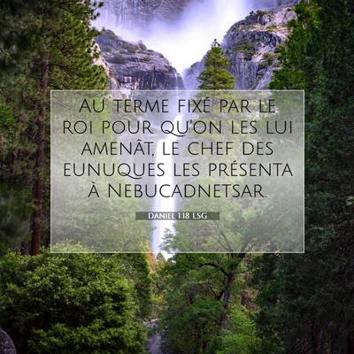 Picture 07 - Daniel 1:18 LSG - Au terme fixé par le roi pour qu'on les lui - Bible Verse Picture
