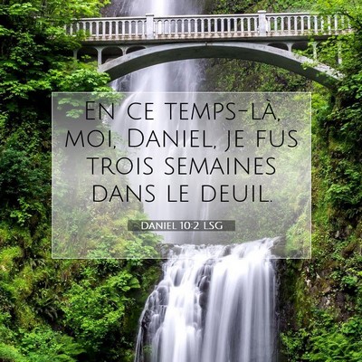 Picture 07 - Daniel 10:2 LSG - En ce temps-là, moi, Daniel, je fus trois - Bible Verse Picture