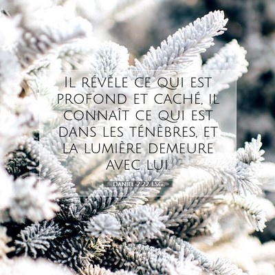 Picture 07 - Daniel 2:22 LSG - Il révèle ce qui est profond et caché, il - Bible Verse Picture