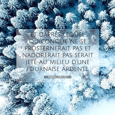 Picture 07 - Daniel 3:11 LSG - et d'après lequel quiconque ne se prosternerait - Bible Verse Picture