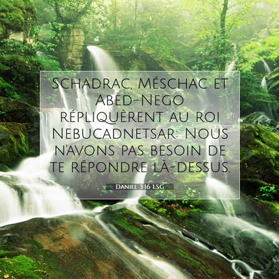 Picture 07 - Daniel 3:16 LSG - Schadrac, Méschac et Abed-Nego répliquèrent au - Bible Verse Picture