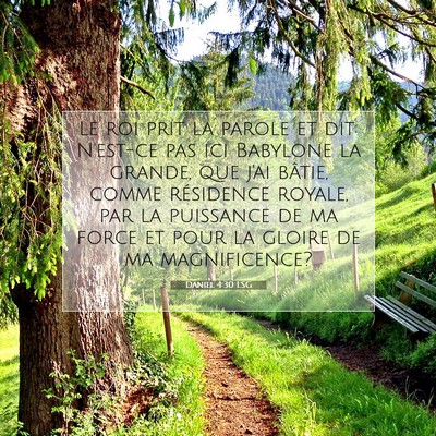 Picture 07 - Daniel 4:30 LSG - le roi prit la parole et dit: N'est-ce pas ici - Bible Verse Picture