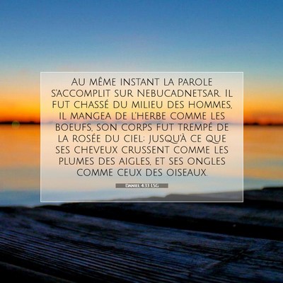 Picture 07 - Daniel 4:33 LSG - Au même instant la parole s'accomplit sur - Bible Verse Picture
