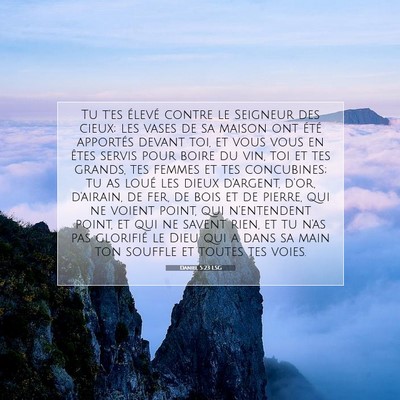 Picture 07 - Daniel 5:23 LSG - Tu t'es élevé contre le Seigneur des cieux; les - Bible Verse Picture