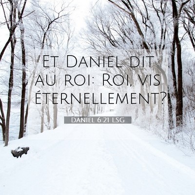 Picture 07 - Daniel 6:21 LSG - Et Daniel dit au roi: Roi, vis - Bible Verse Picture