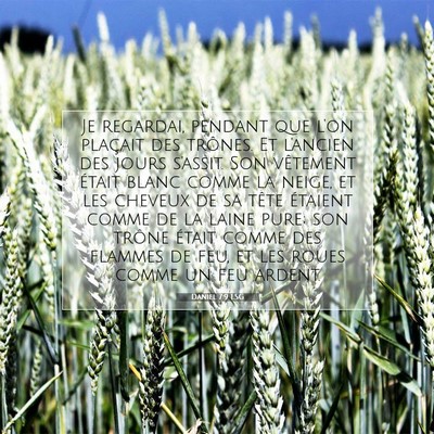 Picture 07 - Daniel 7:9 LSG - Je regardai, pendant que l'on plaçait des - Bible Verse Picture