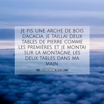Picture 07 - Deutéronome 10:3 LSG - Je fis une arche de bois d'acacia, je taillai - Bible Verse Picture