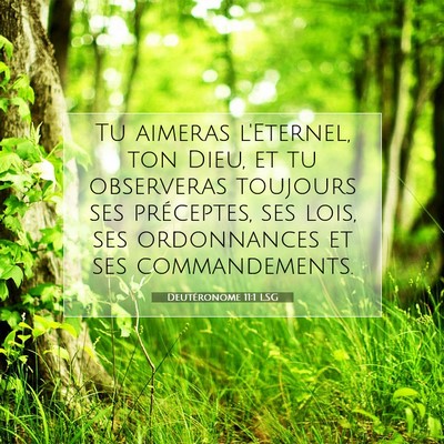 Picture 07 - Deutéronome 11:1 LSG - Tu aimeras l'Eternel, ton Dieu, et tu observeras - Bible Verse Picture