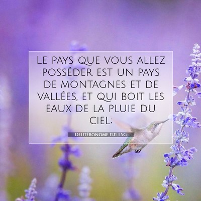 Picture 07 - Deutéronome 11:11 LSG - Le pays que vous allez posséder est un pays de - Bible Verse Picture