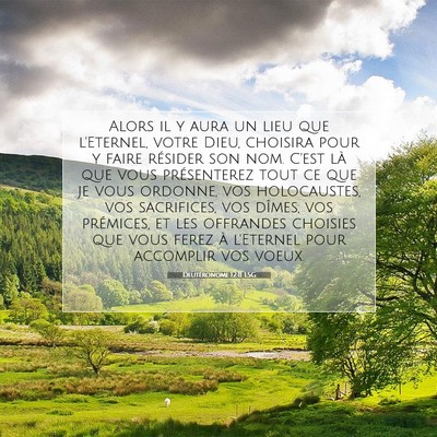 Picture 07 - Deutéronome 12:11 LSG - Alors il y aura un lieu que l'Eternel, votre - Bible Verse Picture