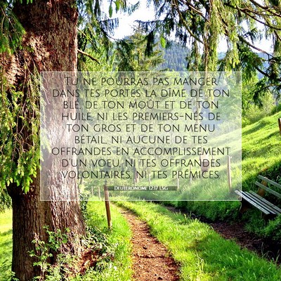 Picture 07 - Deutéronome 12:17 LSG - Tu ne pourras pas manger dans tes portes la dîme - Bible Verse Picture