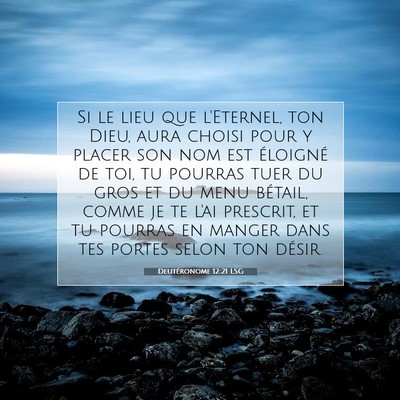 Picture 07 - Deutéronome 12:21 LSG - Si le lieu que l'Eternel, ton Dieu, aura choisi - Bible Verse Picture