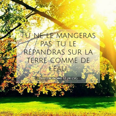 Picture 07 - Deutéronome 12:24 LSG - Tu ne le mangeras pas: tu le répandras sur la - Bible Verse Picture