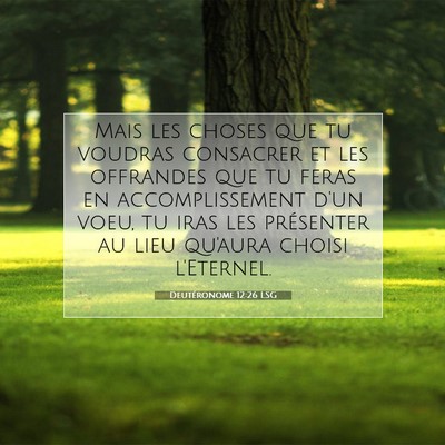Picture 07 - Deutéronome 12:26 LSG - Mais les choses que tu voudras consacrer et les - Bible Verse Picture