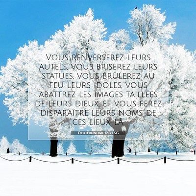 Picture 07 - Deutéronome 12:3 LSG - Vous renverserez leurs autels, vous briserez - Bible Verse Picture