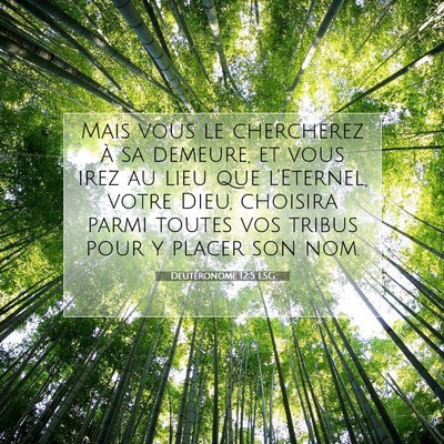 Picture 07 - Deutéronome 12:5 LSG - Mais vous le chercherez à sa demeure, et vous - Bible Verse Picture