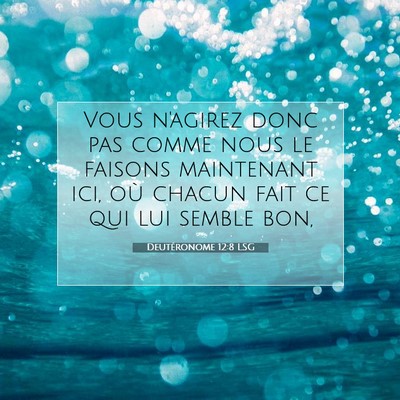 Picture 07 - Deutéronome 12:8 LSG - Vous n'agirez donc pas comme nous le faisons - Bible Verse Picture