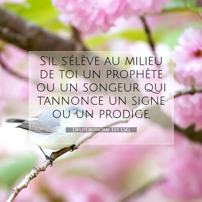 Picture 07 - Deutéronome 13:1 LSG - S'il s'élève au milieu de toi un prophète ou - Bible Verse Picture