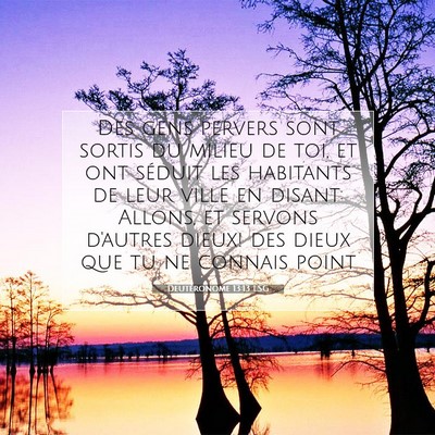 Picture 07 - Deutéronome 13:13 LSG - Des gens pervers sont sortis du milieu de toi, et - Bible Verse Picture