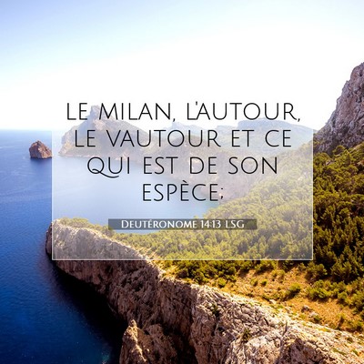 Picture 07 - Deutéronome 14:13 LSG - le milan, l'autour, le vautour et ce qui est de - Bible Verse Picture