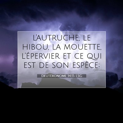 Picture 07 - Deutéronome 14:15 LSG - l'autruche, le hibou, la mouette, l'épervier et - Bible Verse Picture