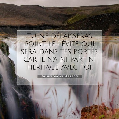Picture 07 - Deutéronome 14:27 LSG - Tu ne délaisseras point le Lévite qui sera dans - Bible Verse Picture