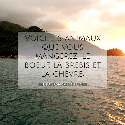 Picture 07 - Deutéronome 14:4 LSG - Voici les animaux que vous mangerez: le boeuf, la - Bible Verse Picture