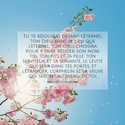Picture 07 - Deutéronome 16:11 LSG - Tu te réjouiras devant l'Eternel, ton Dieu, dans - Bible Verse Picture