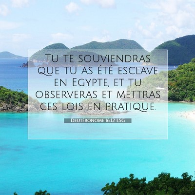 Picture 07 - Deutéronome 16:12 LSG - Tu te souviendras que tu as été esclave en - Bible Verse Picture